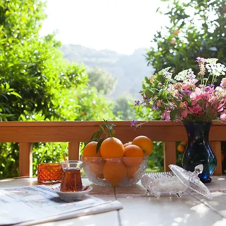 Bed & Breakfast Ekinoks Cirali